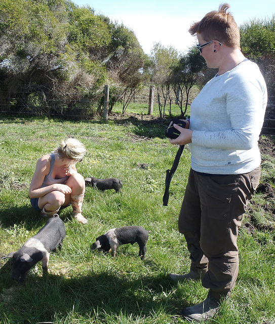 piggy fun in the sun