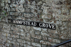 To Hampstead Grove