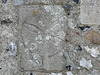 little shelford church, cambs, c13 cross slab