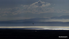 Last one home is a slowcoach - Red Arrow over Moray Firth at dusk