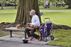 Donald Heller, the Hurdy-Gurdy Man – Public Garden, Boston, Massachusetts
