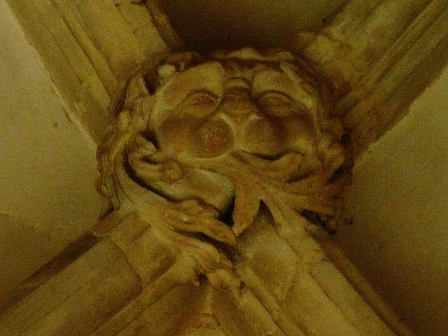 canterbury cathedral, c14,lion spewing foliage boss on minature vault inside the tomb canopy of the tomb built for archbishop meopham , who died in 1333 makes a screen across the entrance to the chape
