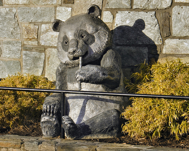 Panda Statue – National Zoo, Washington, DC