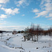 Sunshine and blue skies 5270496143 o