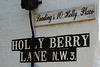 Holly Berry Lane NW3