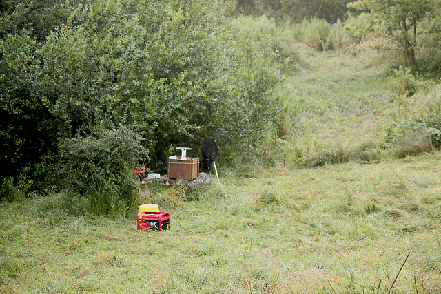 MV Light Moth Trap @ Public Moth Night