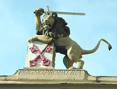 Things on rooftops: nr. 12  Maniac Lion with Balls