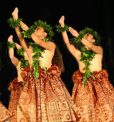 Hula attire hotsell