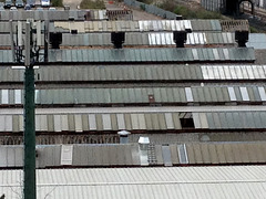 Shed roofs, Wembley
