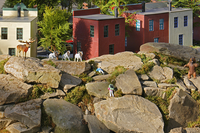 A Most Strange Menagerie – Garden Railway, Brookside Gardens