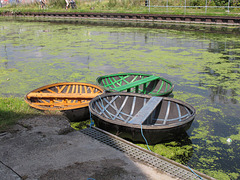 Coracles on the canal