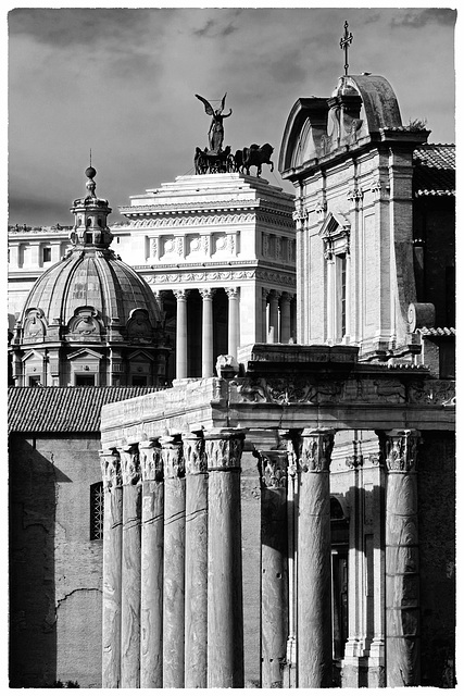 Rome Honeymoon Fuji XE-1 Palatine Hill 10 mono