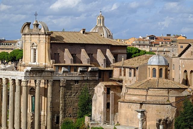 Rome Honeymoon Fuji XE-1 Palatine Hill 12