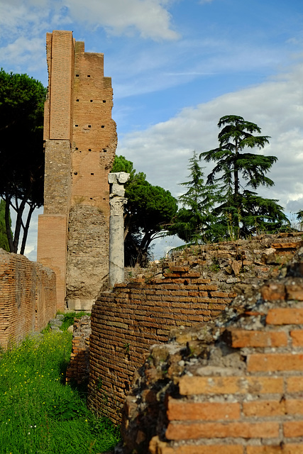 Rome Honeymoon Fuji XE-1 Palatine Hill 16