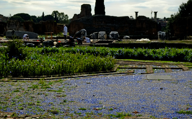 Rome Honeymoon Fuji XE-1 Palatine Hill 17