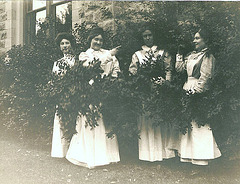 Women Behind Shrubbery