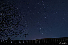 Starry night - Orion
