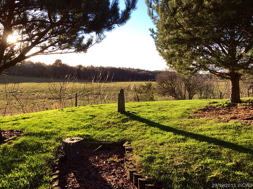 Sunny Sunday winter afternoon