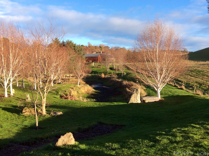 Sunny Sunday winter afternoon