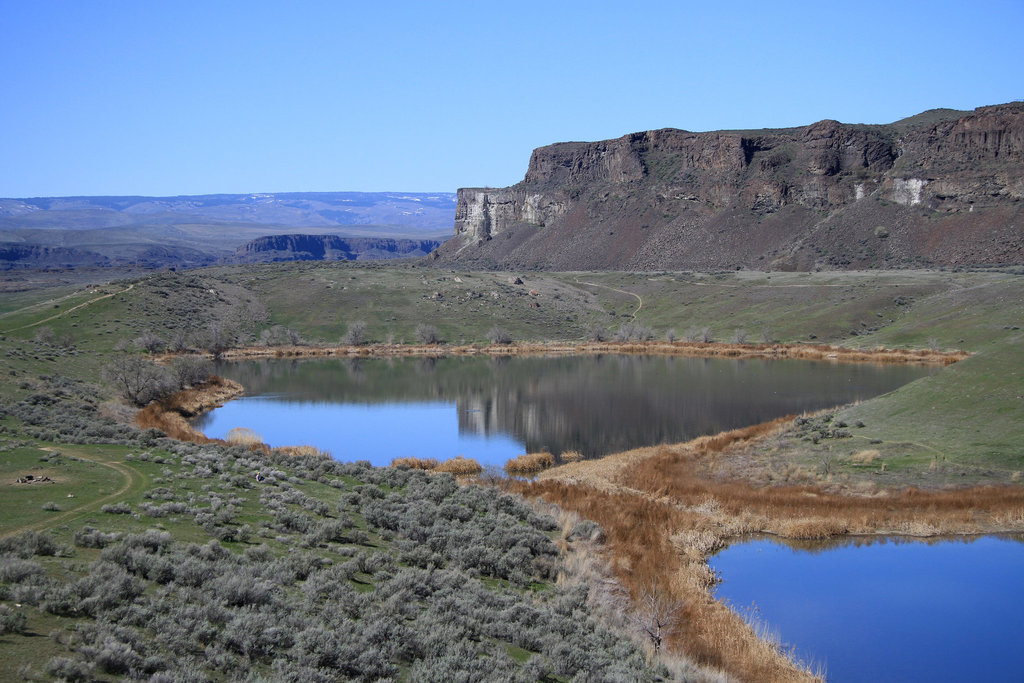 Ancient Lakes Coulee