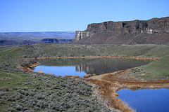 Ancient Lakes Coulee