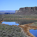 Ancient Lakes Coulee