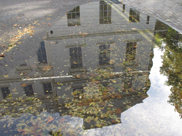Reflection in a puddle