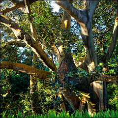 old_rubber old_rubber