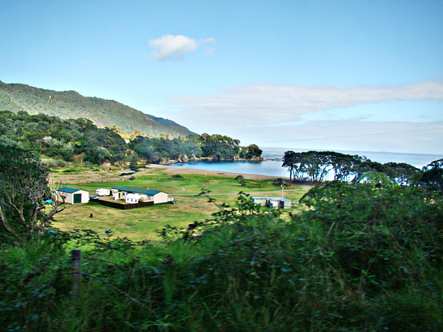 Looking down on a camping area.