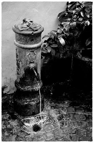 Rome Honeymoon Fuji XE-1 Campo De' Fiori market 12 mono