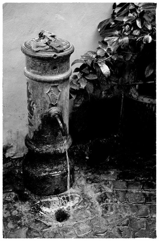 Rome Honeymoon Fuji XE-1 Campo De' Fiori market 12 mono