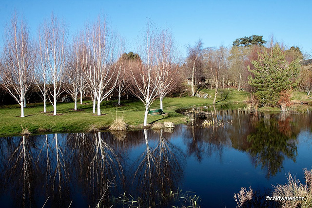 Sunshine and Blue Skies on the Moray Riviera!