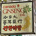 Canada Ginseng Company Sign – East Hastings Street between Carrall and Columbia, Vancouver, British Columbia
