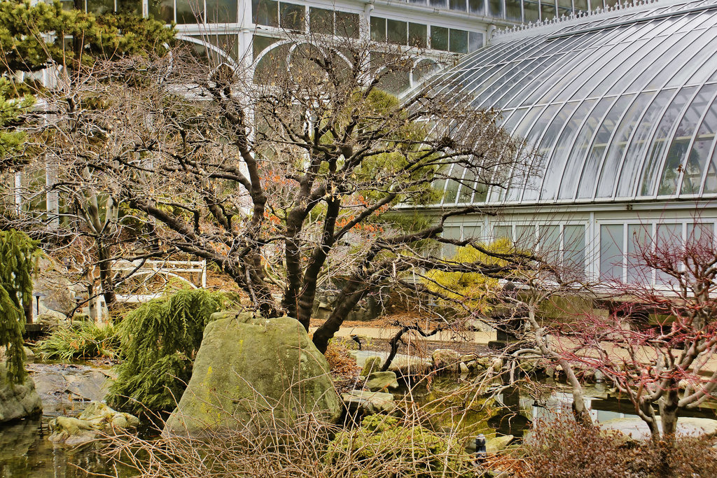 The Japanese Garden in Winter – Phipps Conservatory, Pittsburgh, Pennsylvania