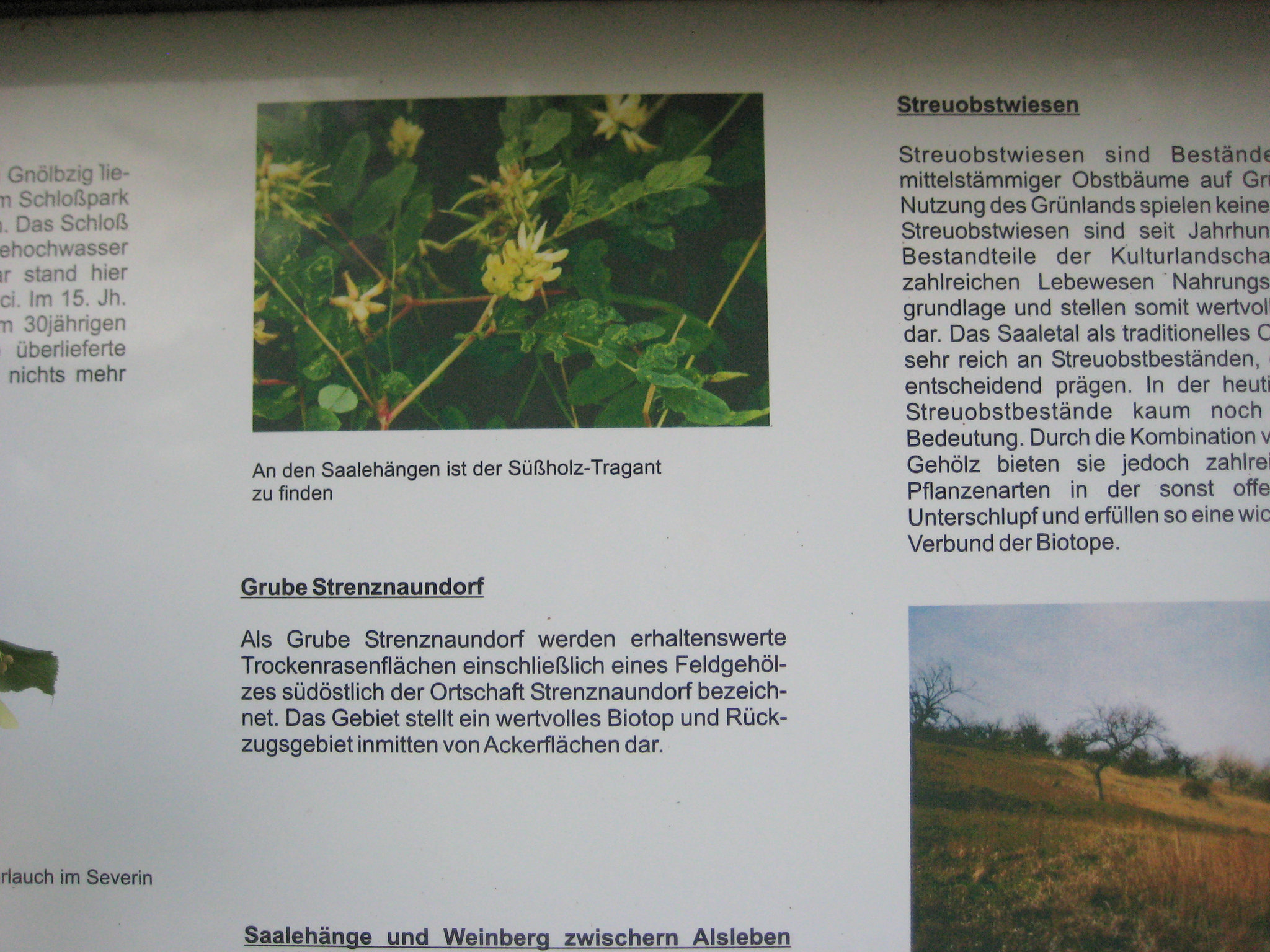 Infos zur Umgebung von Gnölbzig
