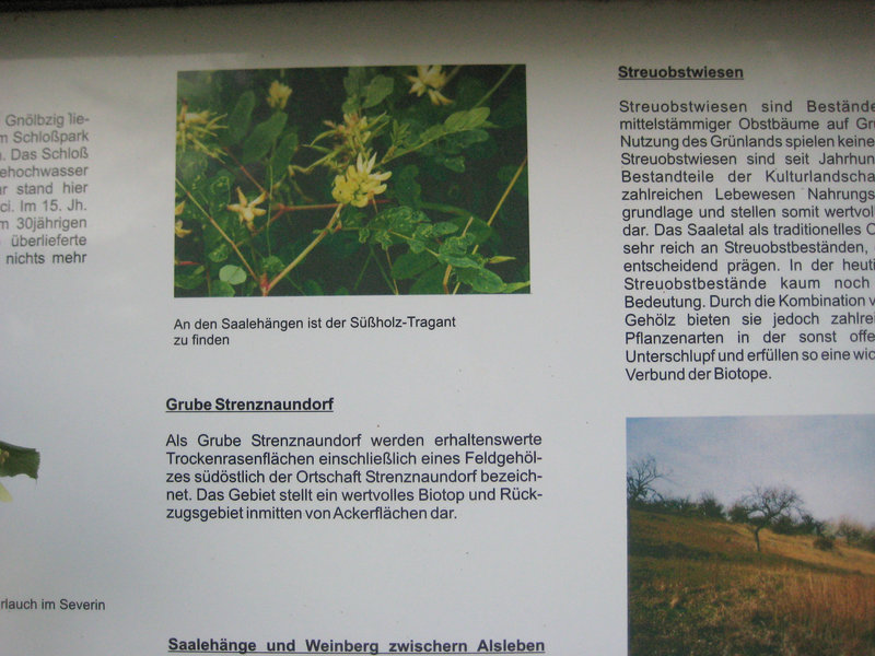 Infos zur Umgebung von Gnölbzig