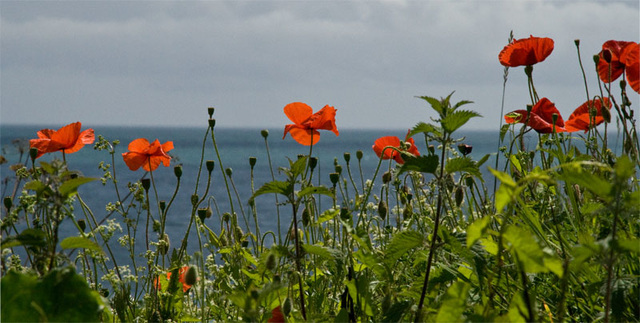 Lying on the cliffs