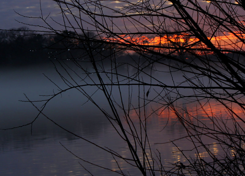 Raindrops at sunset