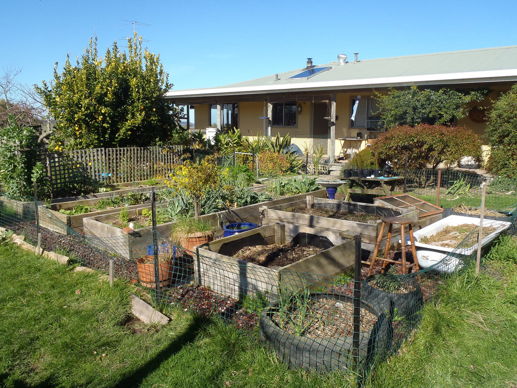 fenced vegie garden