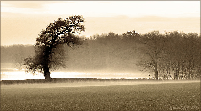 AUTUN-SAULIEU