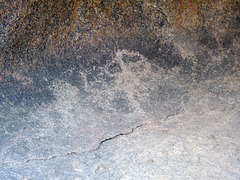 Petroglyphs & Pictographs (5666)