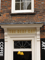 The Deaf Cat