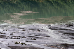 Robson River Floodplain