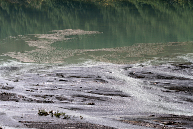 Robson River Floodplain