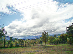 Ruatoria view