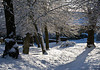 winter churchyard