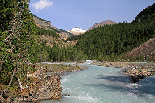 Robson River