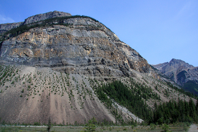 Berg Lake Trail