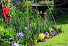 Sunny Spring Sunday Morning