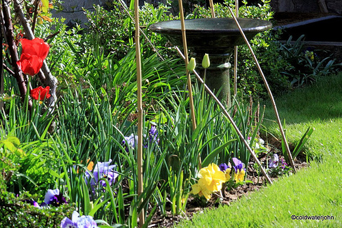 Sunny Spring Sunday Morning